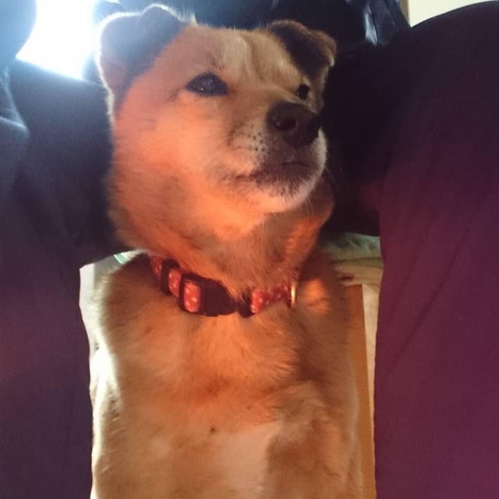 F98384a5 2651 4052 9b8a 5bc049cc2e2b 1639748524690