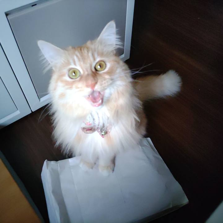 F983f0a4 0a03 4fbd 8f60 a2fac765c83c 1684567075781