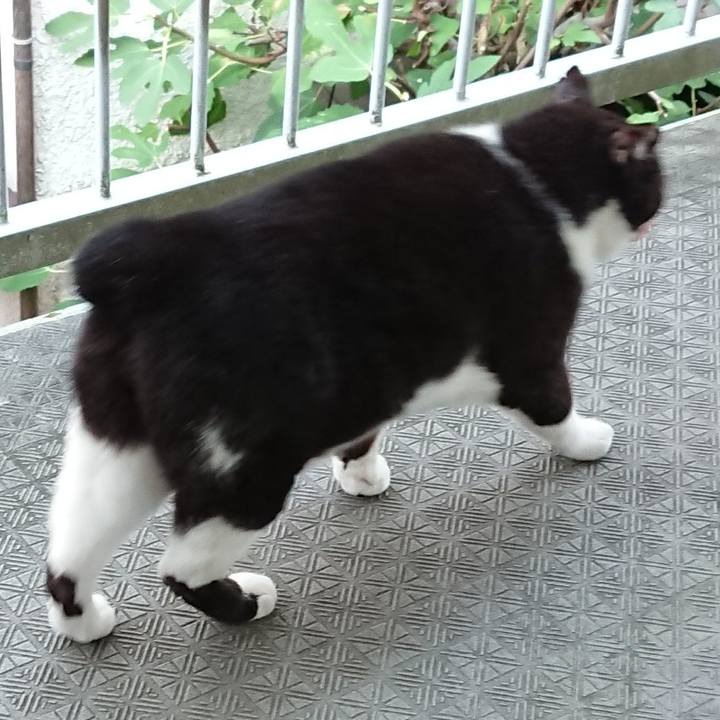 F9844867 24d2 413a a72a bd36ad63b902 1631352020830