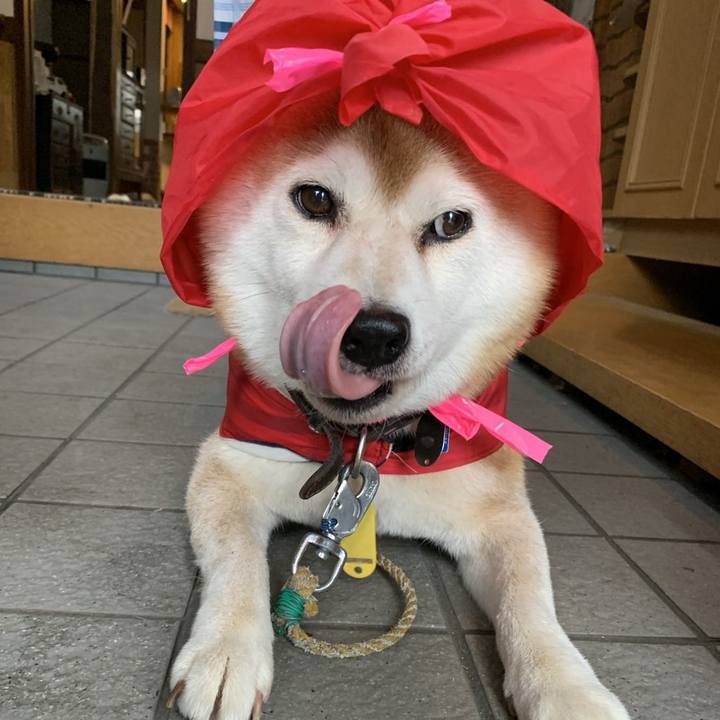 F9844995 aa29 4539 ad52 d45f24940d56 1633066763031