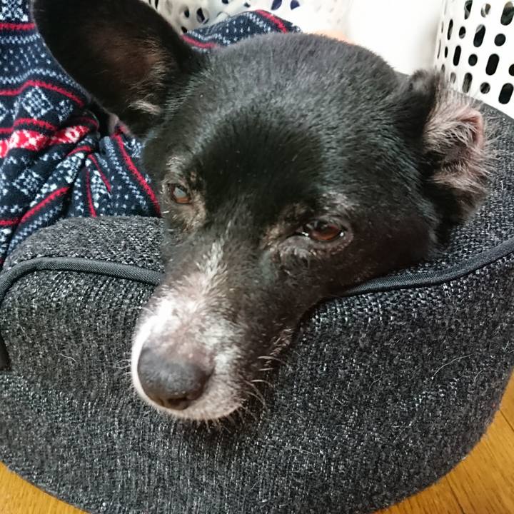 F9844b02 415b 4eb1 86c5 b36319acdfbc 1548217446491