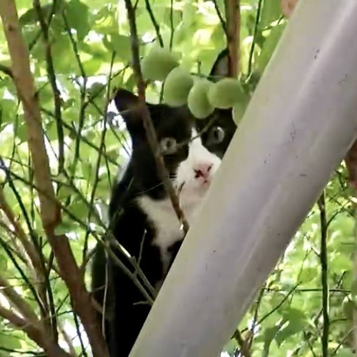 F9845aeb 1ca7 4990 8bcf 9ec9f16c6356 1730140269464