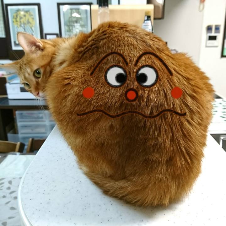 F984a414 1013 48c3 9b13 02d7f8251501 1539612441523