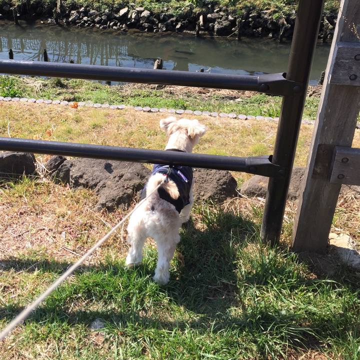 F984bf1d 5e41 46c2 abd4 20cccda56c38 1550900223753