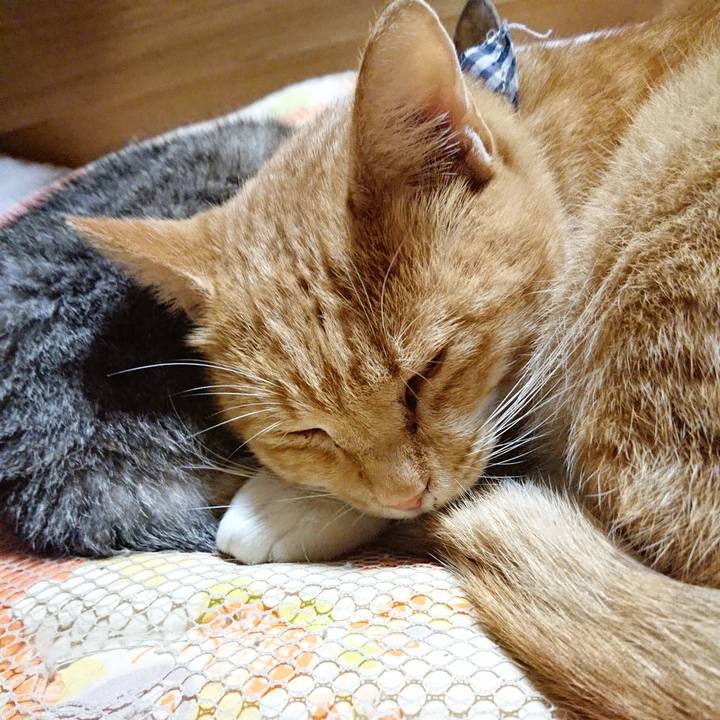 F984f782 c430 4019 8aaf f7c5cbde0330 1571661081546