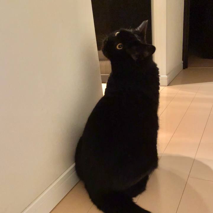 F9850f59 e18b 4fb9 a98d ce14475b7377 1761567646776