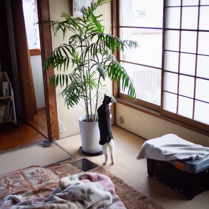 F9855ba4 a5a1 4c89 934b 8e142d391284 1610244499908