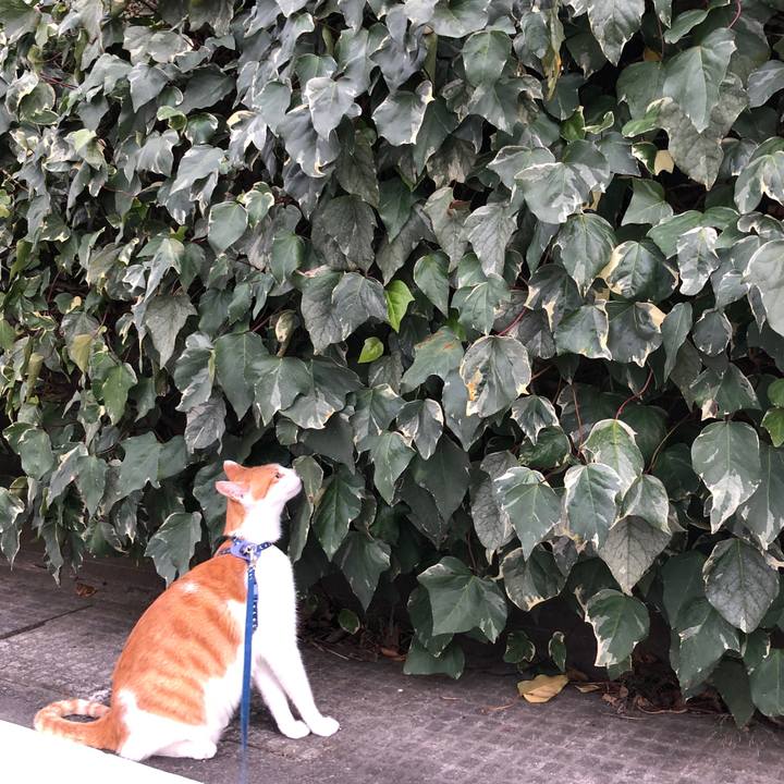 F98593d3 9c4b 4f74 a26c 6937bff27632 1542696433013