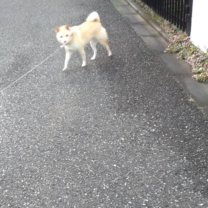 F985d199 9298 49c3 960f b7d4bb92725b 1606344103653