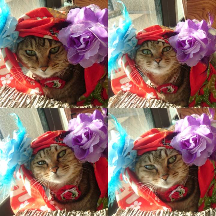 F985ffb1 19b1 465e 9744 d2f08cb6c339 1769386226901