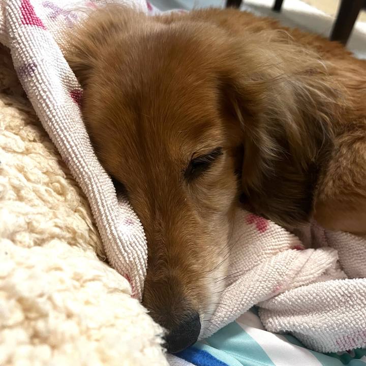 F9861008 830c 406e 8617 2522d50c5ab0 1655547813917