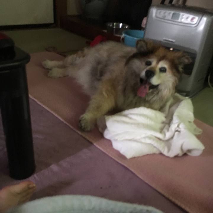 F986db98 1b22 4e23 a307 7249fb02f050 1616368095855