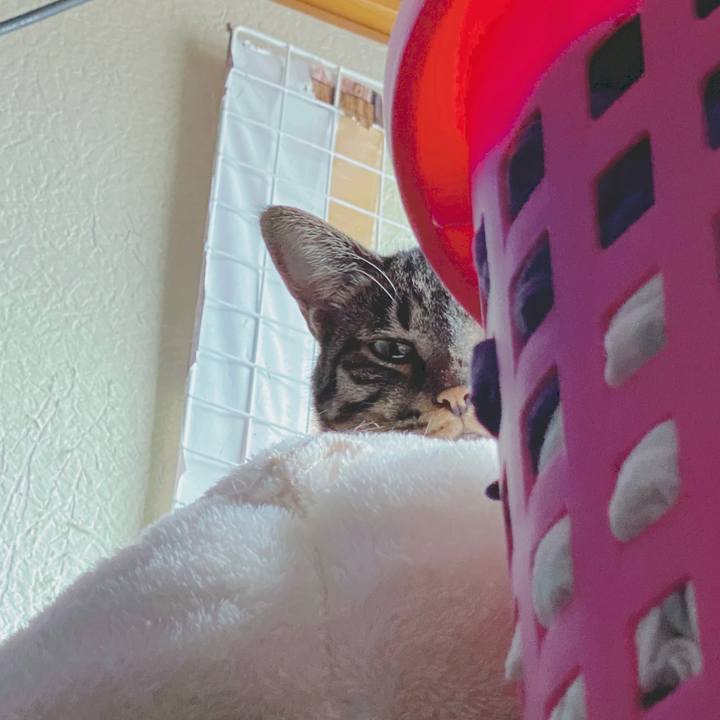 F986ea91 e13a 4bbb 8e4a b675125f9bbc 1593220104757