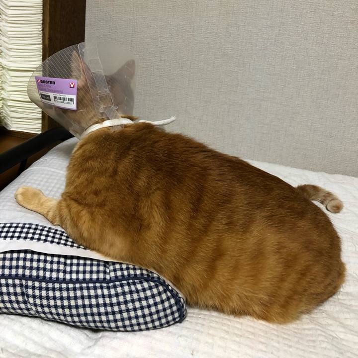 F987012a 3bb0 4bf5 845d 3c3a01e17b0f 1600512042737