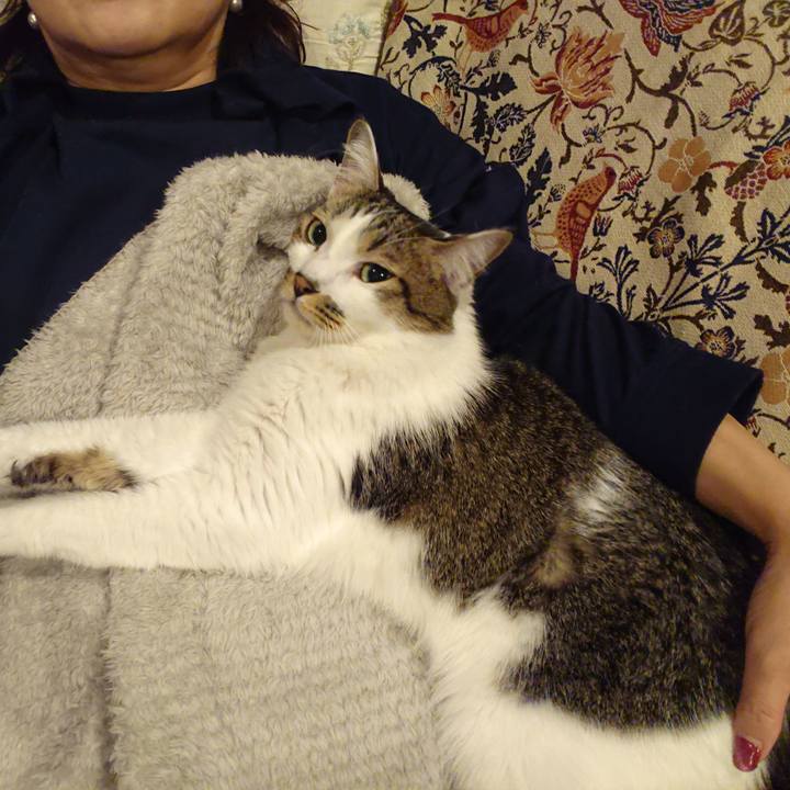 F9870c40 f1b7 496b 9dee 4bdebc38ecdf 1667301755568