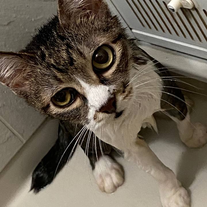 F9871571 f982 45c5 ad70 bd12a8c584e7 1596450643744