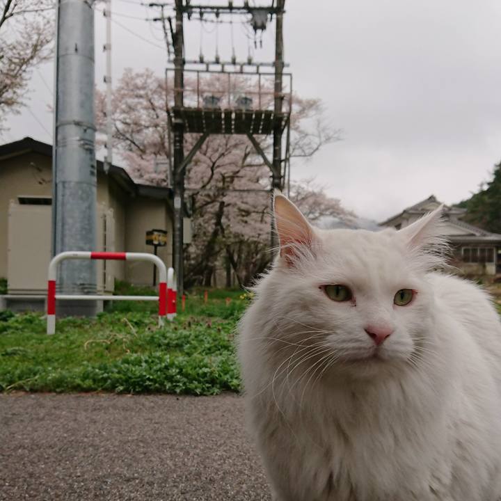 F9875066 4bad 4c5a 971c 48ff2940ee2d 1556230771430