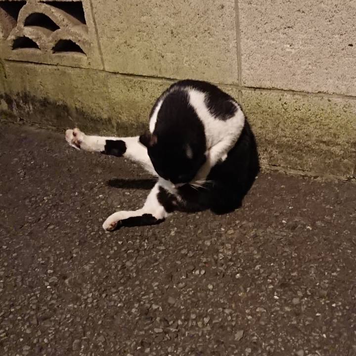 F9875758 8af6 4f65 9536 b7f62927528b 1533469025258