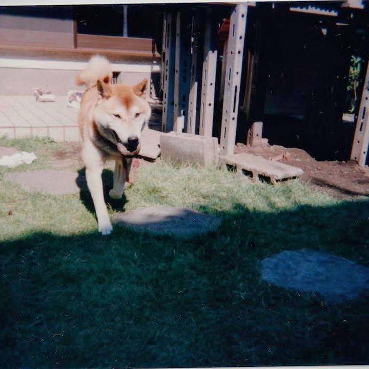 F9879eee dd3a 4d3f 85b6 4b758d09dff5 1753233767984