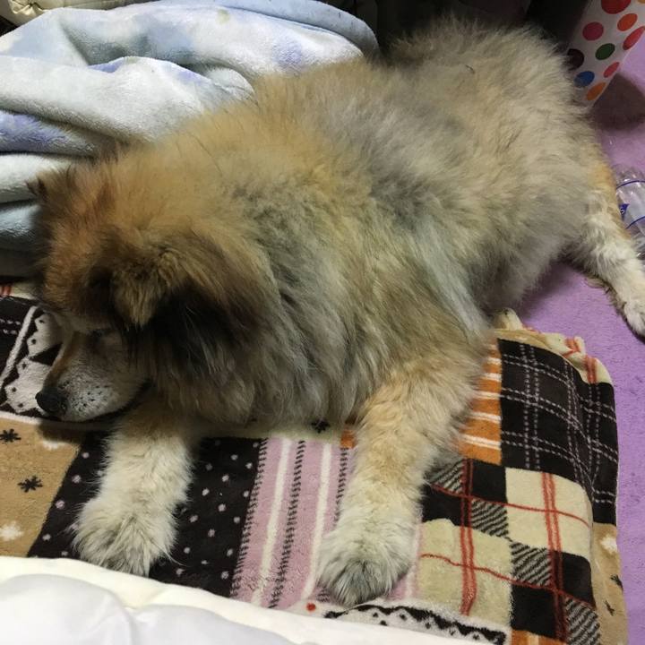 F987bc91 8e0a 4461 a241 c1074d267537 1574105907644