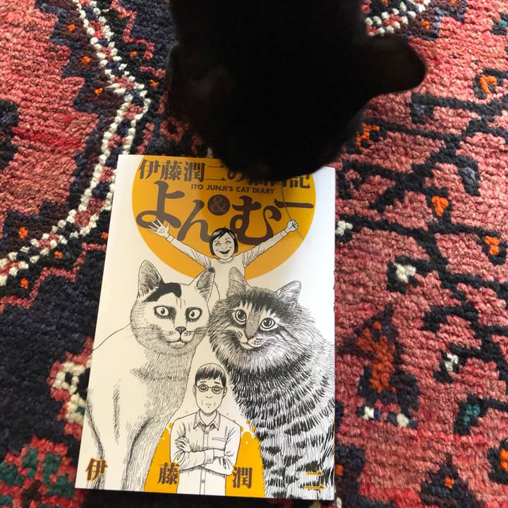 F987d7d8 3b65 470a 8993 e514bf78071b 1560212526348