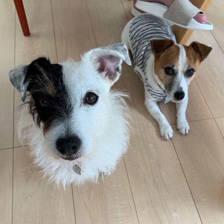 F987d834 ad15 4e70 b18c 2258337fe813 1602545333648