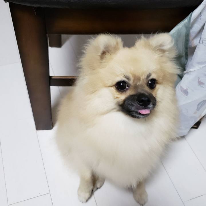 F9883691 ab73 4b8f 8329 a99daed18b3a 1625223833114