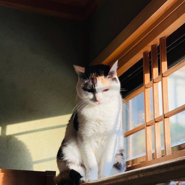 F9885b44 3a37 4d2e 8b72 771ba29a7acc 1612316902777