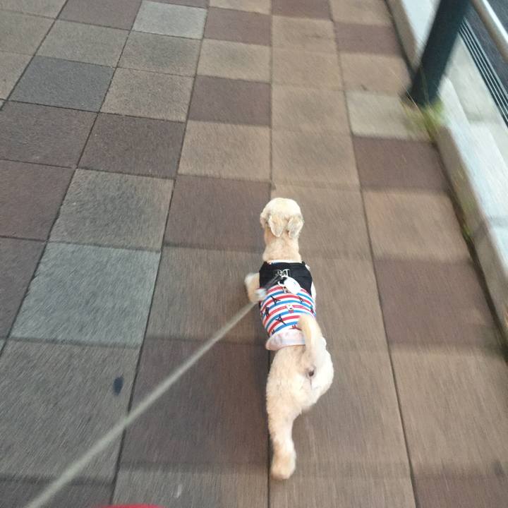 F988a1bf a586 4b5b 84c9 ed5b770c8217 1534762569352