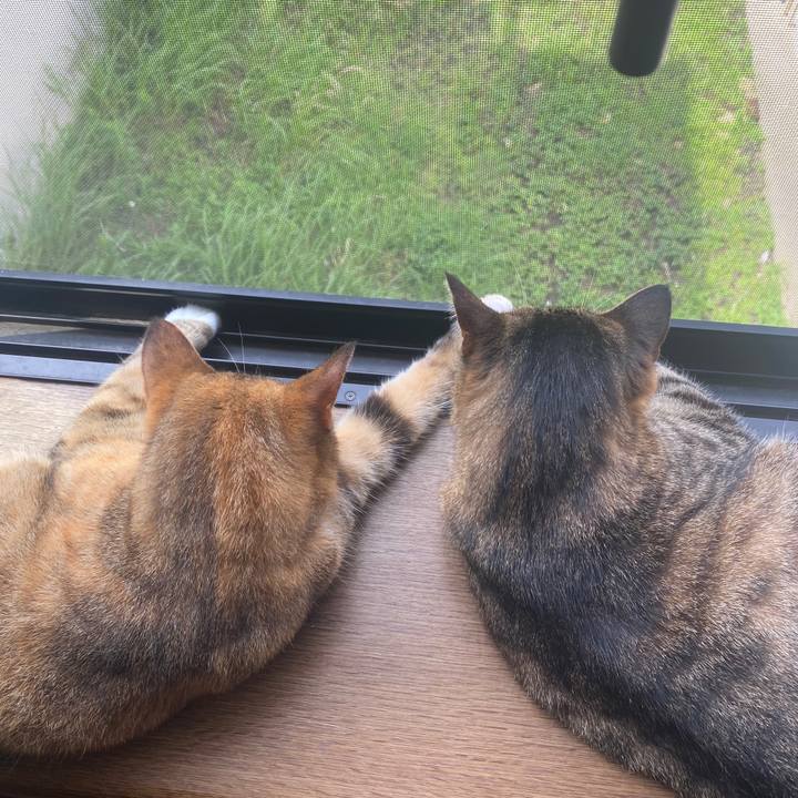 F988c1d0 4404 4251 b32e 214ebc351913 1595203348836