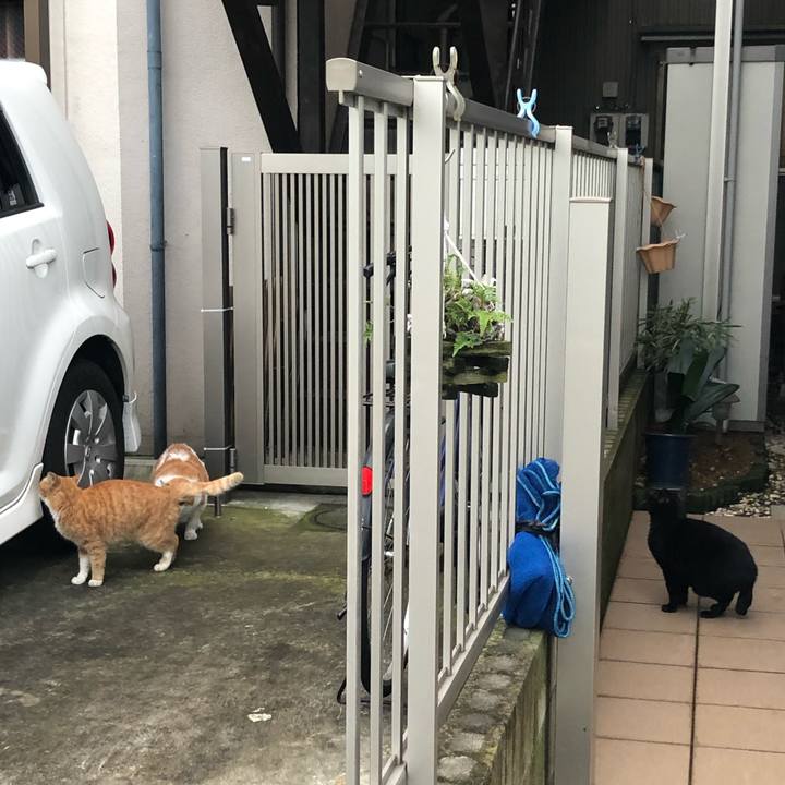 F988c2b5 c11f 40f2 b26d f62e0d0857d7 1575206926642