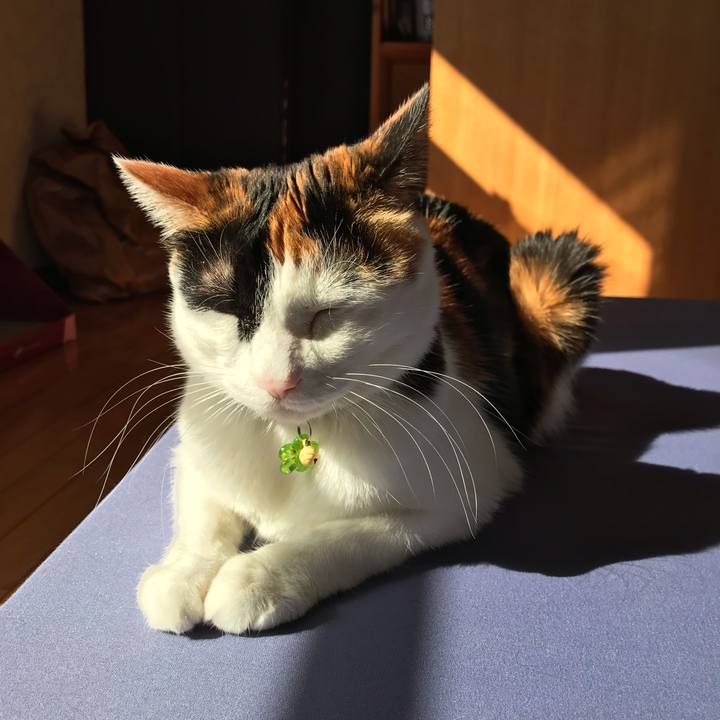 F98908b4 3e13 4017 956b c329b6023223 1549333113289