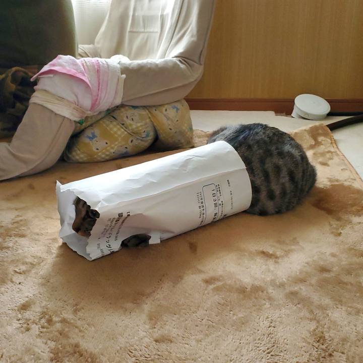 F9892fa0 34ad 483b 8484 db17b3025294 1711036399070