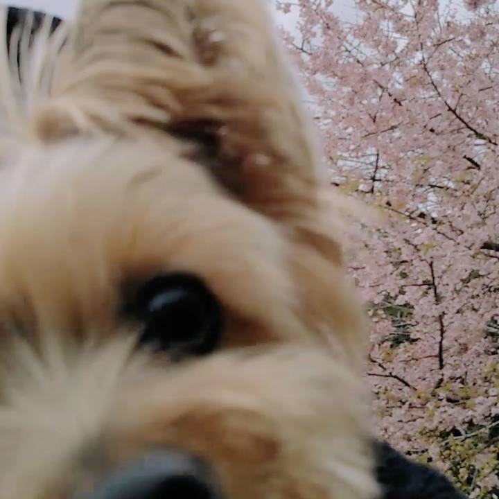 F9894dc9 8dd7 4356 8c1c 335c2022385a 1709703350371