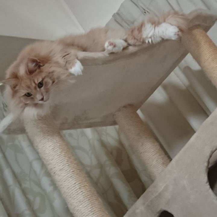 F9899c33 e6a0 41d9 a62f 883f9b9f0055 1544587106779