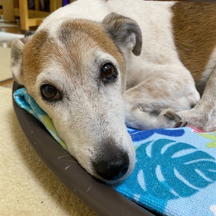 F989cf9a d7f8 4523 ad22 b80e4eccd4b8 1619834918106