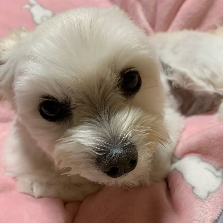 F989d8ac 8b61 4db4 8409 a07d382f1716 1604316214822