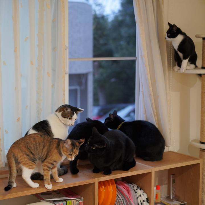 F989e230 3492 457e 8c1f ea04e1dda9aa 1576193438362