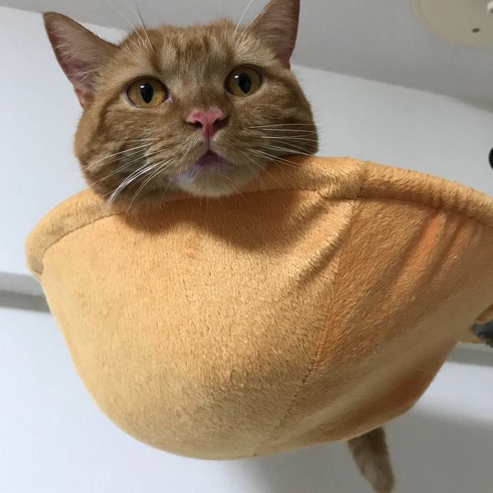 F989e783 fa80 4bb3 baab 67d360033fbc 1539695892002