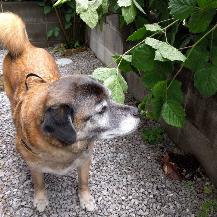 F98a08d6 0c5f 4687 b822 5d3f35b0e90e 1525744267165