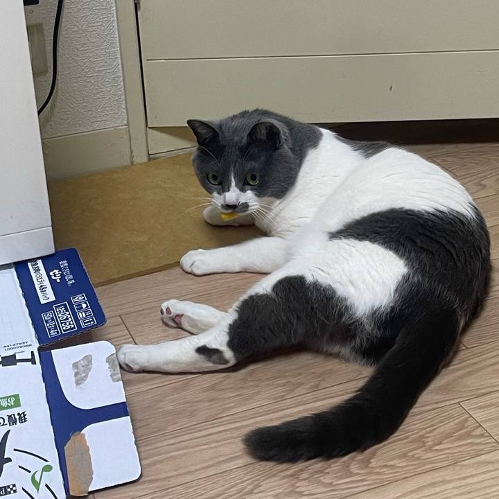 F98a0cdc a924 4183 92c1 5b467be1d215 1678878623088