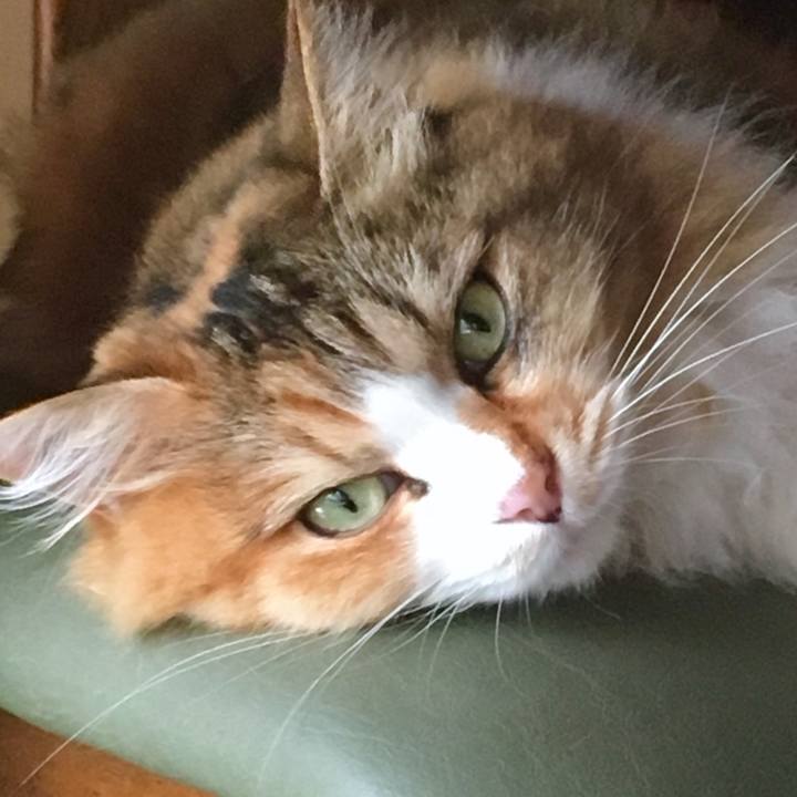 F98a1bcb ea3a 4150 8fbf c8968d789831 1564458759231