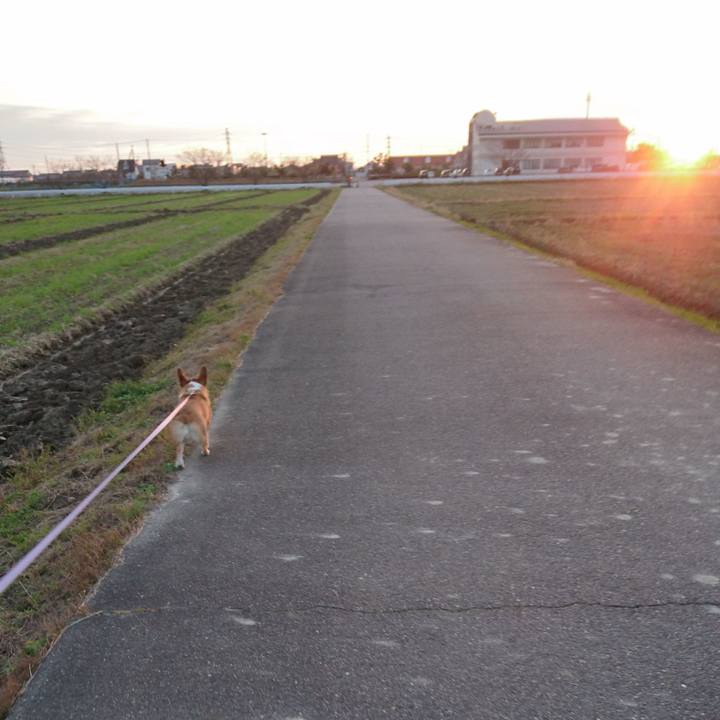 F98a3836 d3c3 4af4 9416 b6b9a942f365 1577175547031