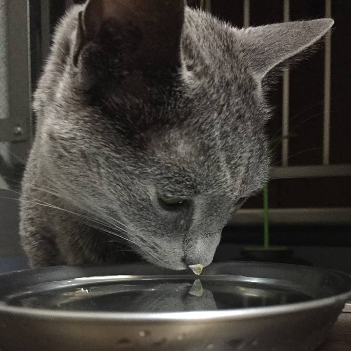 F98ace87 7b6e 41d3 aaa4 31ec933aec92 1528759571394