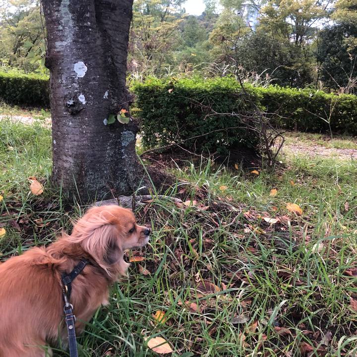 F98ad067 9745 4ad5 b477 f4af04c8465e 1539293534805