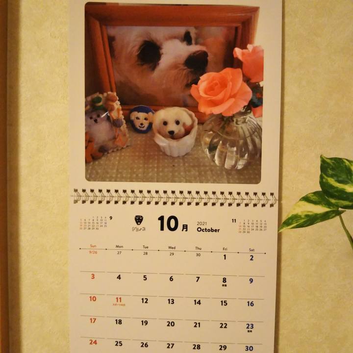 F98adde5 94d2 4190 bd38 4beae993f119 1633097316998