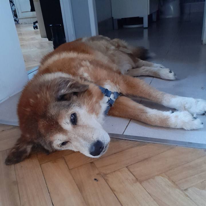 F98ae95c 52de 4bee a3c6 47ee03998da3 1764953478519