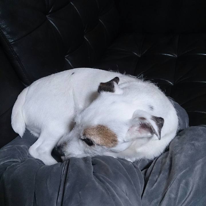 F98af46d 6bd9 4297 ac9e 5dac4b801396 1508108871870