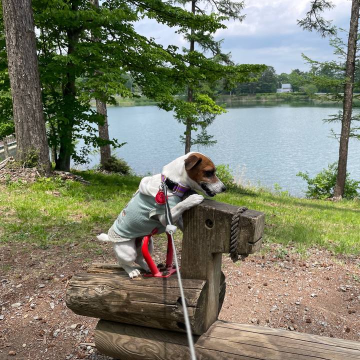 F98afe9f 8e63 42ba bd9f c3c71b35c036 1716788932442