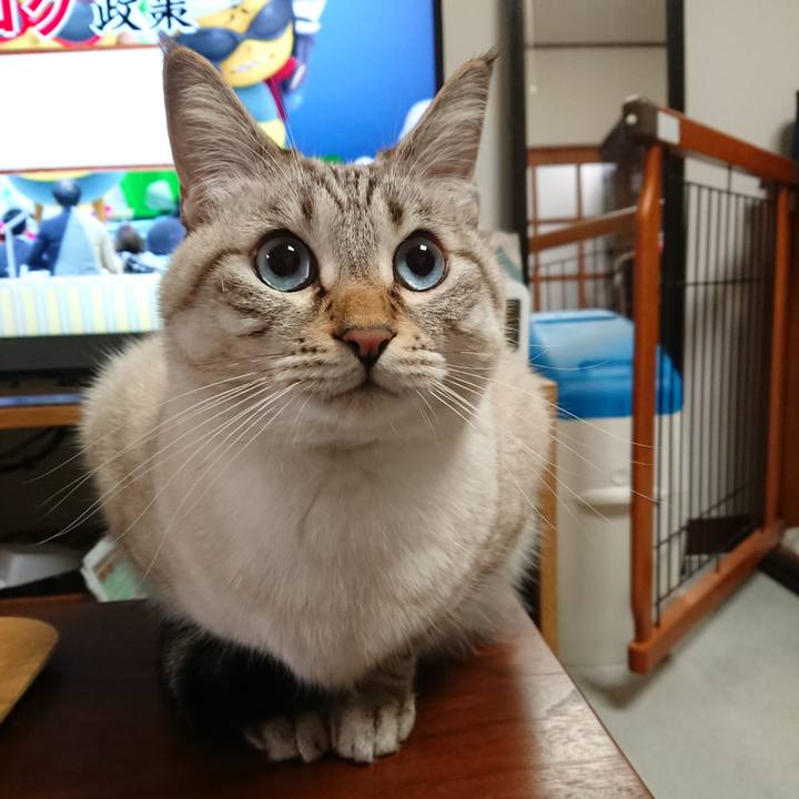 F98b24e3 21a2 4aaa 8b95 52ef370d2f52 1575283249528